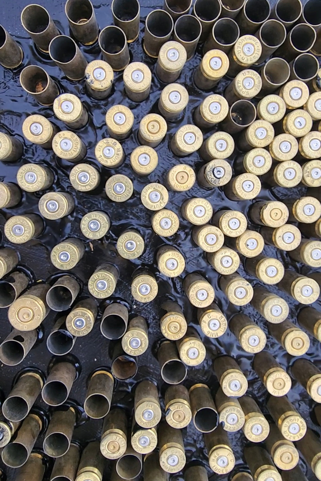 Bullet Series