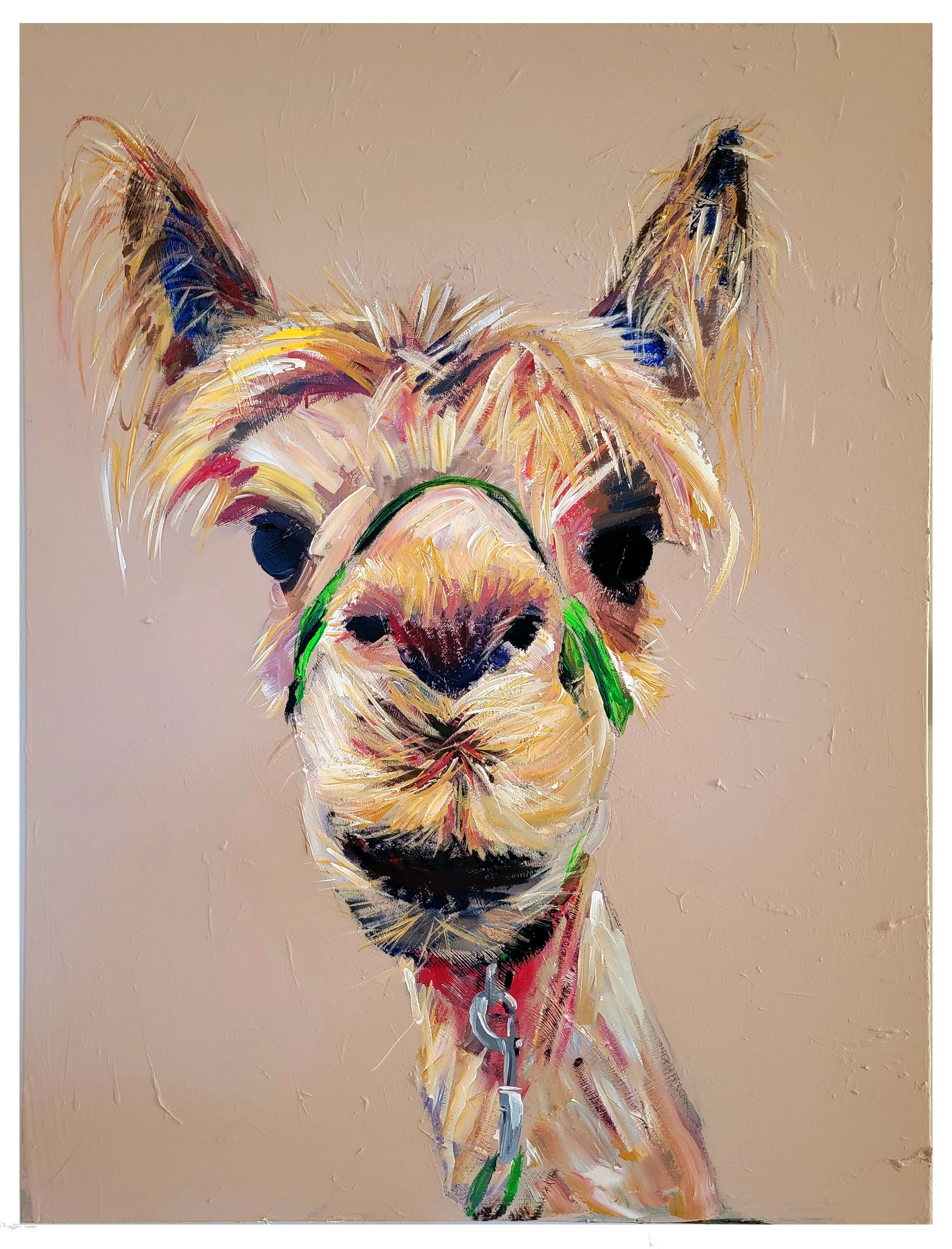 Llama 1